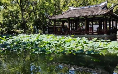 餐饮管理公司和门店的区别（餐饮管理公司和门店的叫什么）