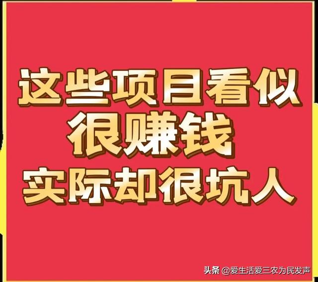 农村创业土元养殖（土元养殖利润）