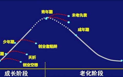 创业初期企业家的什么判断力可决定企业的成败（创业初期企业家的什么判断立刻决定企业的成败）