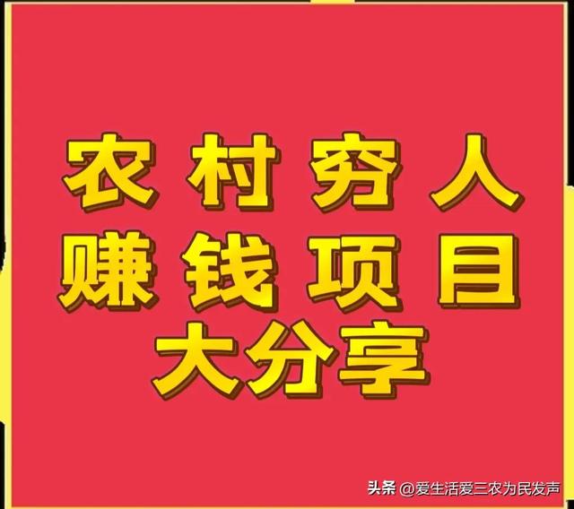 适合穷人的18个创业项目投资小糯（适合穷人的18个创业项目投资小2021）