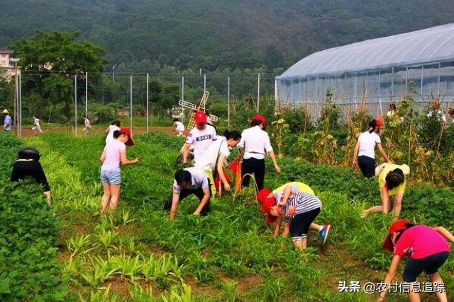 农村致富项目大全（农村致富项目养殖）