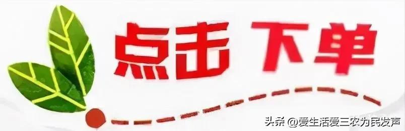 适合穷人的18个创业项目投资小糯（适合穷人的18个创业项目投资小2021）