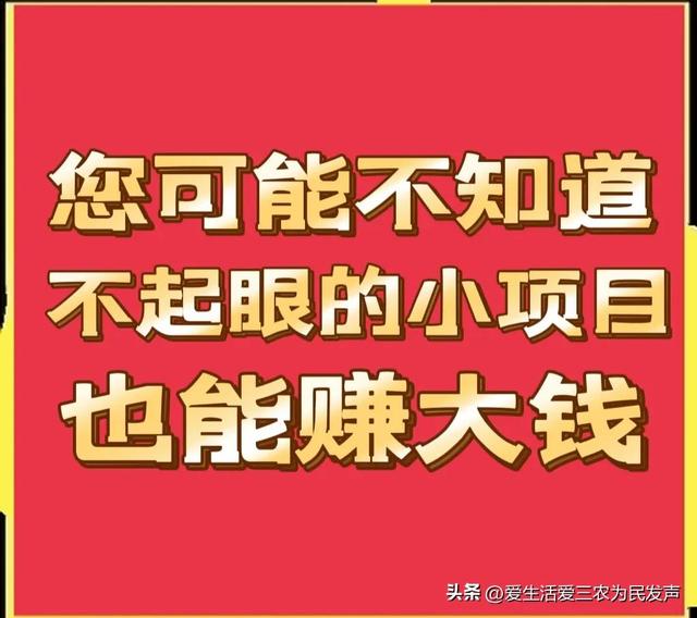 农村致富项目网（农村致富项目大全种植业）