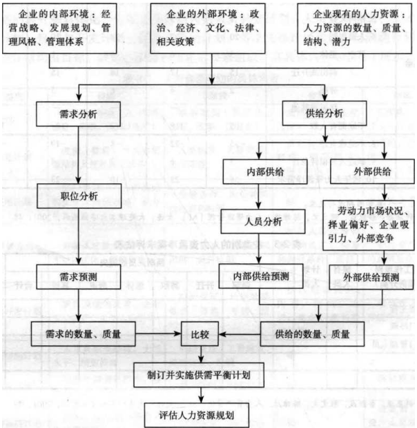 人力资源规划的程序，人力资源规划的程序包括哪几个阶段？