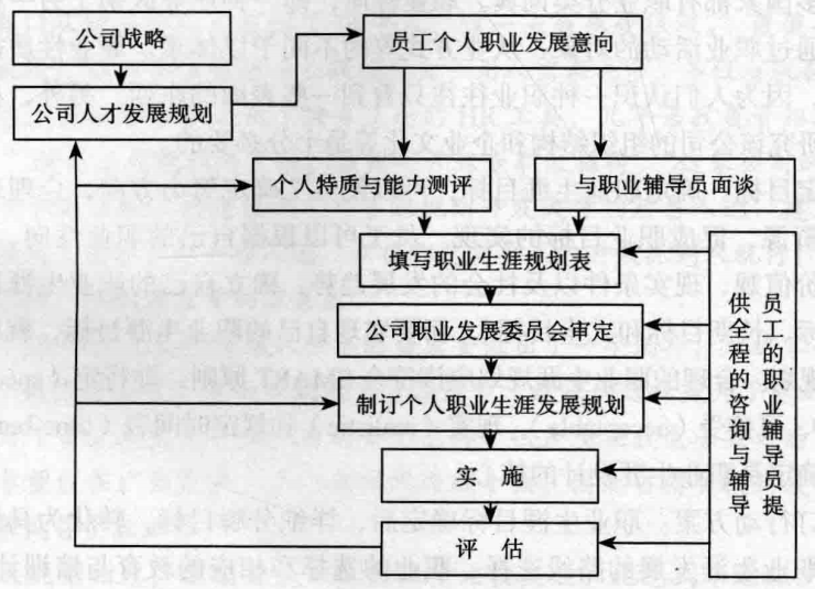 员工职业生涯规划流程，员工职业生涯规划流程及内容图片？