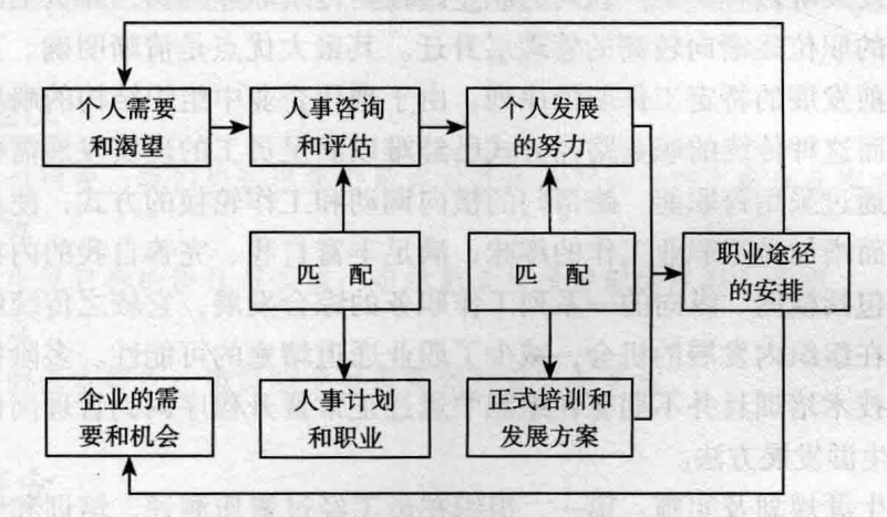 组织职业生涯规划的设计与实施，组织职业生涯规划的开发模型和管理流程？